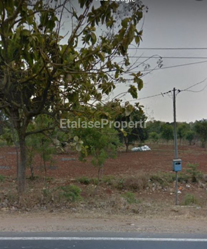 Foto properti Tanah Lamongan Strategis..jual Cepat 2