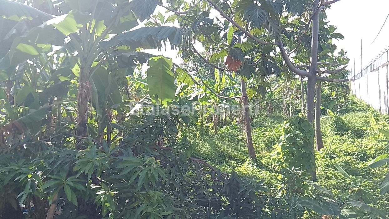 Foto properti Jual Cepat Tanah 0 Jalan Cocok Untuk Industri 1