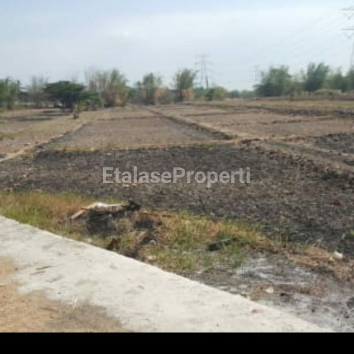 Foto properti Jual Cepat Tanah Area Pergudangan Dan Industri Di Kawasan Krikilan Legundi 3