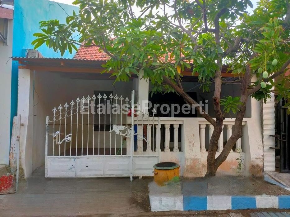 Foto properti Jual Rumah Tembus 2 Gang Di Ikan Mungsing 1