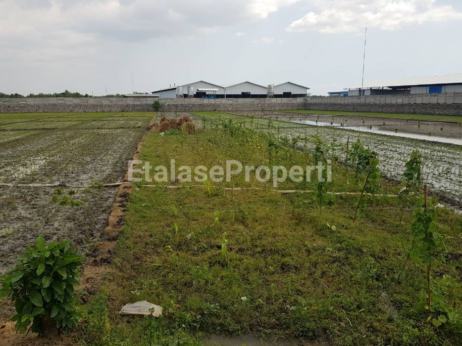 Foto properti Dijual Tanah Kawasan Industri Pilangkenceng Madiun Ngawi-Caruban 1