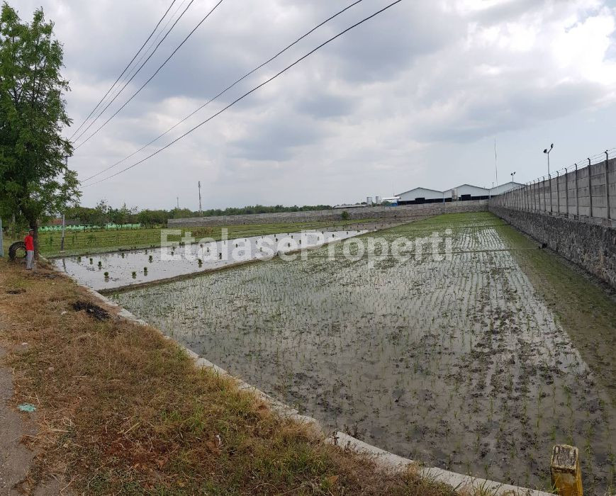 Foto properti Dijual Tanah Kawasan Industri Pilangkenceng Madiun Ngawi-Caruban 4