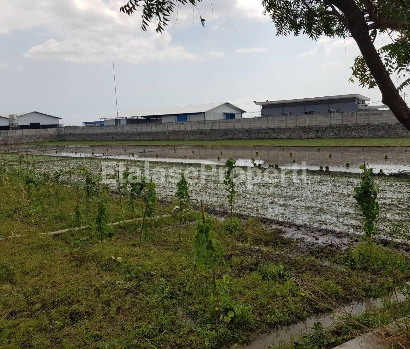 Foto properti Dijual Tanah Kawasan Industri Pilangkenceng Madiun Ngawi-Caruban 5