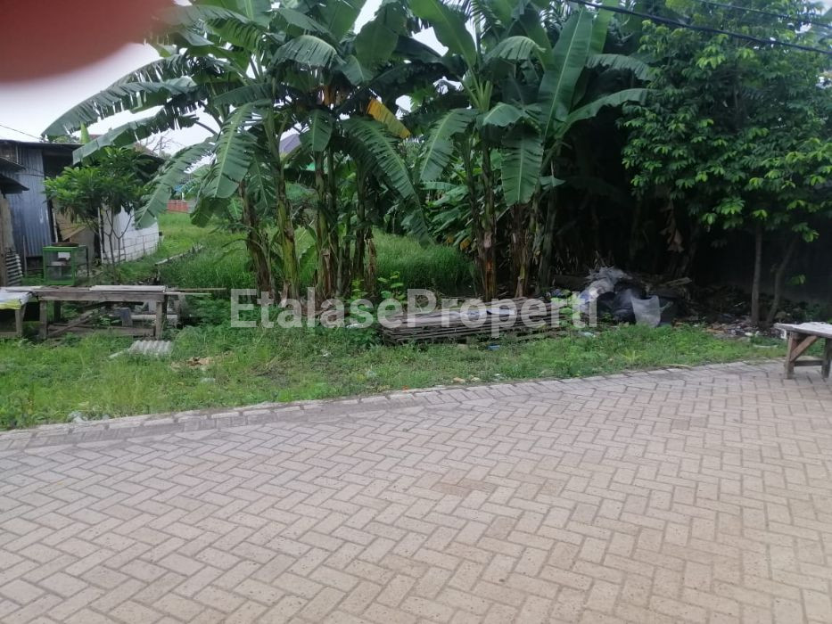 Foto properti TANAH LUAS UNTUK USAHA 4