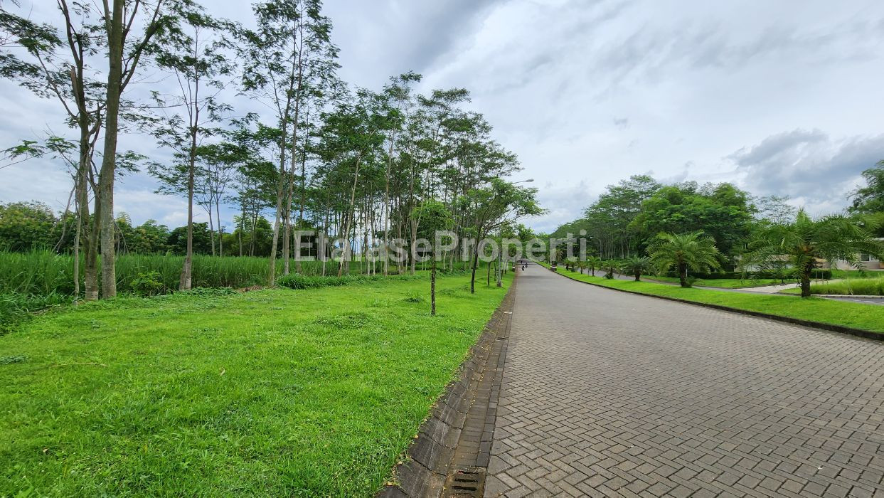 Foto properti Tanah Seberang Ombe Coffee Araya Malang Istimewa Super Strategis 2