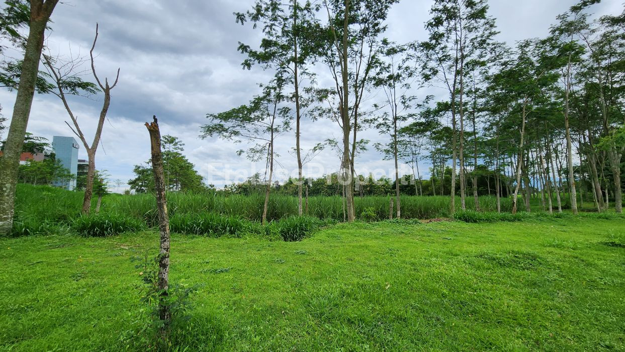 Foto properti Tanah Seberang Ombe Coffee Araya Malang Istimewa Super Strategis 3