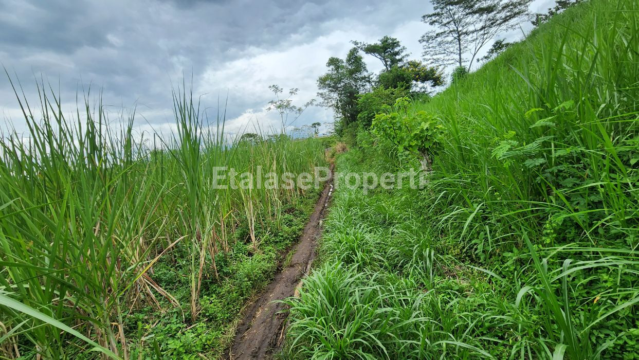 Foto properti Dijual Tanah Untuk Perumahan Low Budget Belakang Binus Araya Malang 1