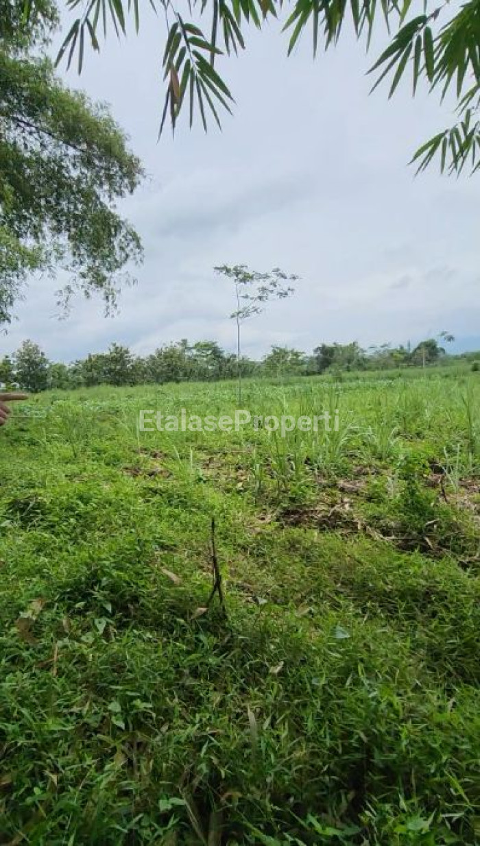 Foto properti Dijual Tanah Untuk Perumahan Low Budget 5 Menit Dari Araya Malang 1