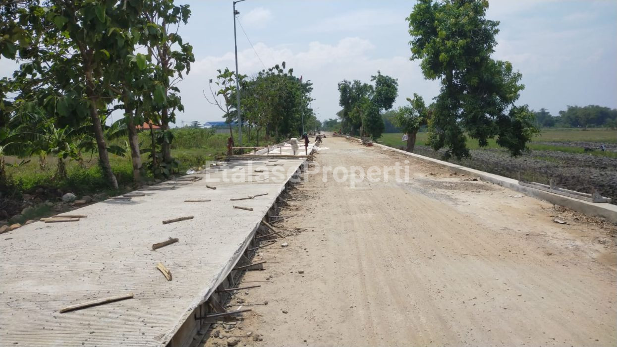 Foto properti Dijual Cepat Tanah Zona Industri Lengkong-Mojokerto 3