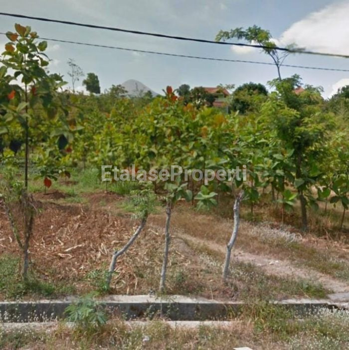 Foto properti Tanah Siap Bangun Lokasi Bagus Strategis Daerah Komersial Raya Prigen Pasuruan 1