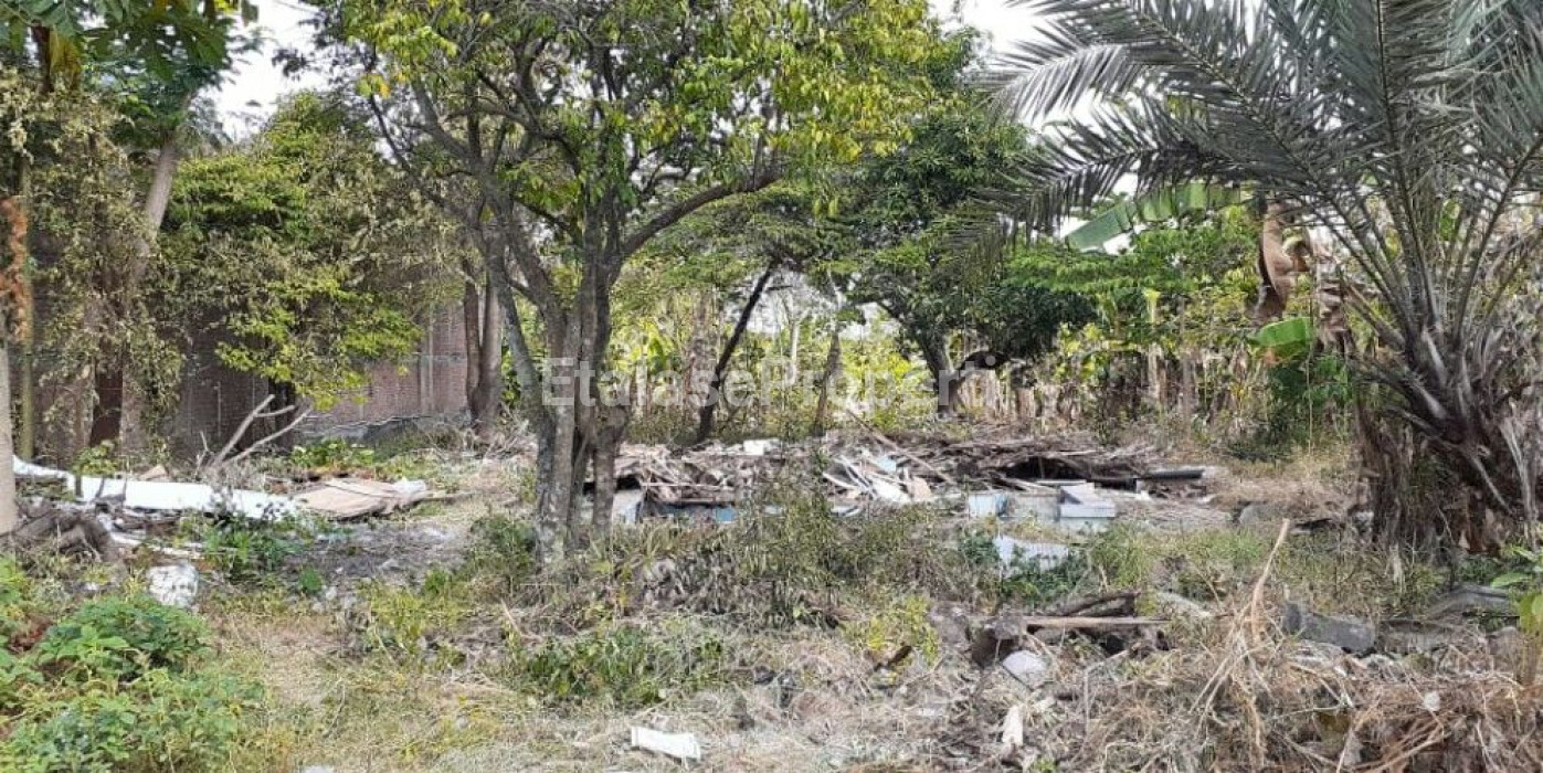 Foto properti Dijual Tanah Lakarsantri SBY Barat Dkt Wiyung Menganti & Citraland 1