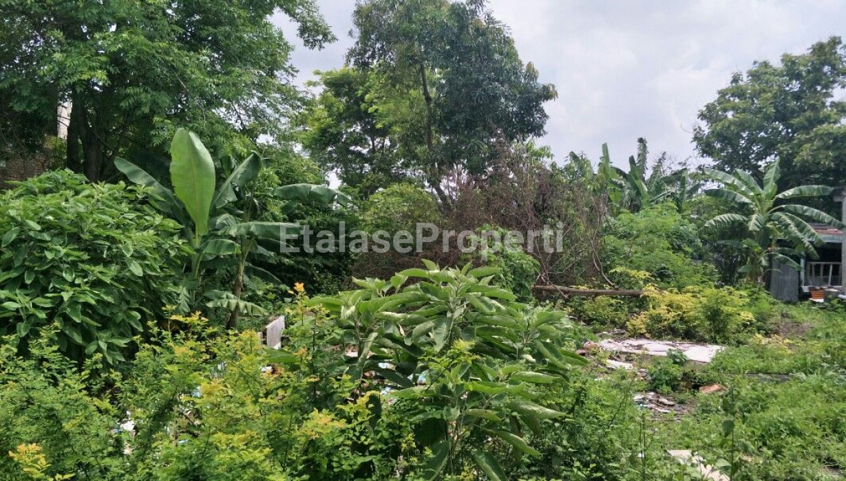 Foto properti Dijual Tanah Lakarsantri SBY Barat Dkt Wiyung Menganti & Citraland 2