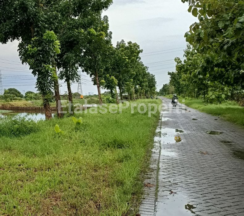 Foto properti Dijual Tanah Wedoroanom Driyorejo Gresik Dkt Menganti & Surabaya Barat 1