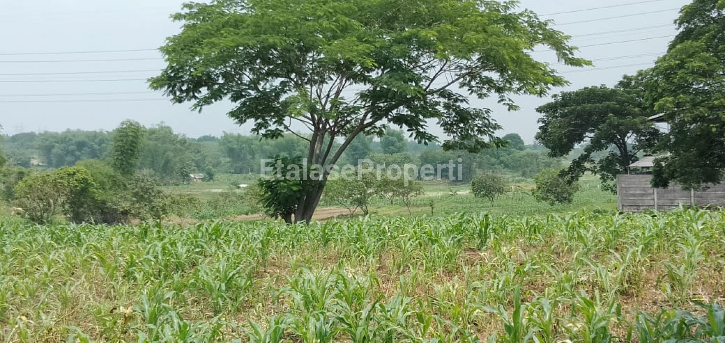 Foto properti Dijual Tanah Raya Kedamean Karangandong Driyorejo Gresik Dkt Menganti 1
