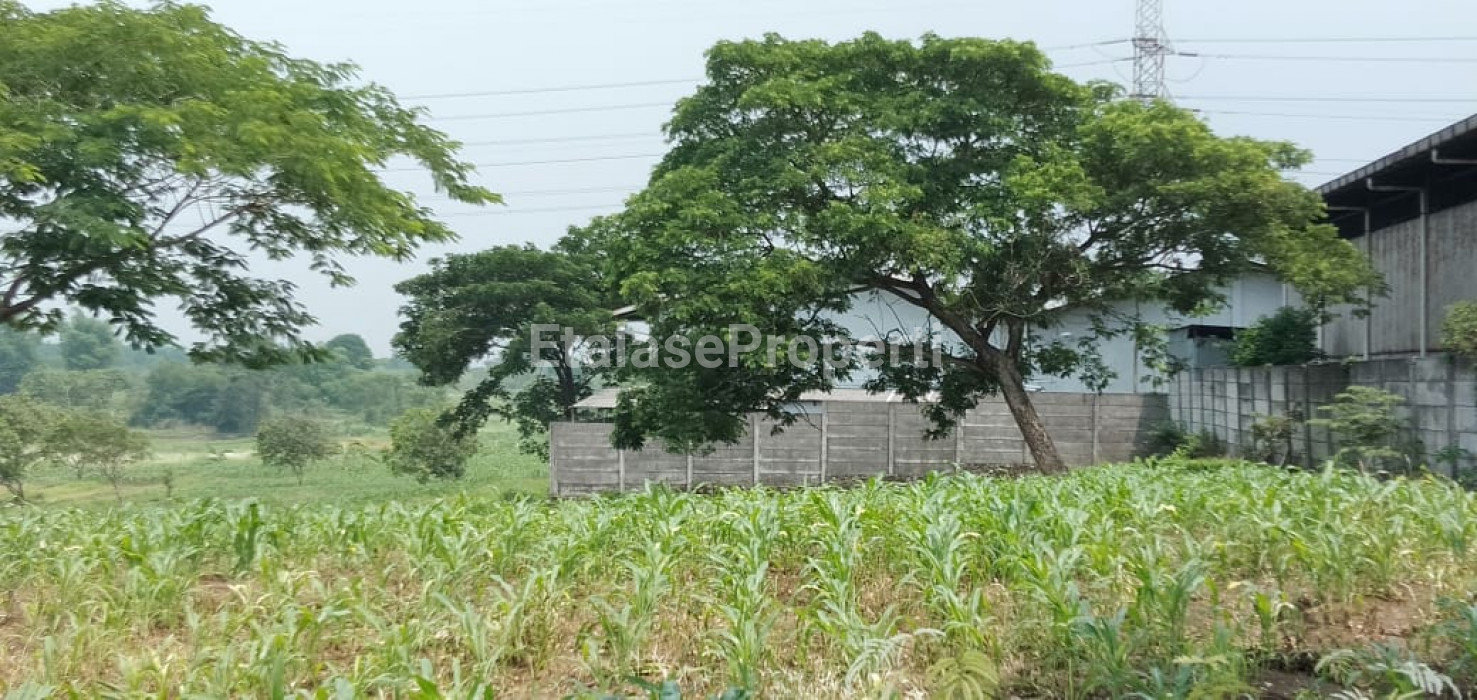 Foto properti Dijual Tanah Raya Kedamean Karangandong Driyorejo Gresik Dkt Menganti 2