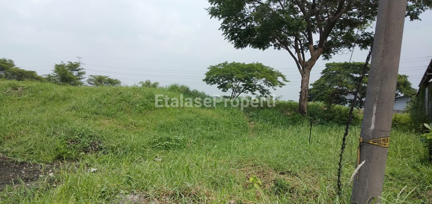 Foto properti Dijual Tanah Raya Kedamean Karangandong Driyorejo Gresik Dkt Menganti 3
