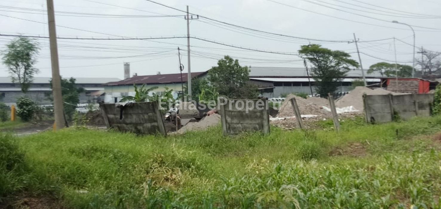 Foto properti Dijual Tanah Raya Kedamean Karangandong Driyorejo Gresik Dkt Menganti 4