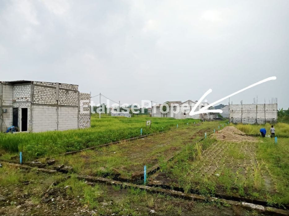 Foto properti Tanah Menganti Posisi Lebih Tinggi Dari Grand Harvest 1