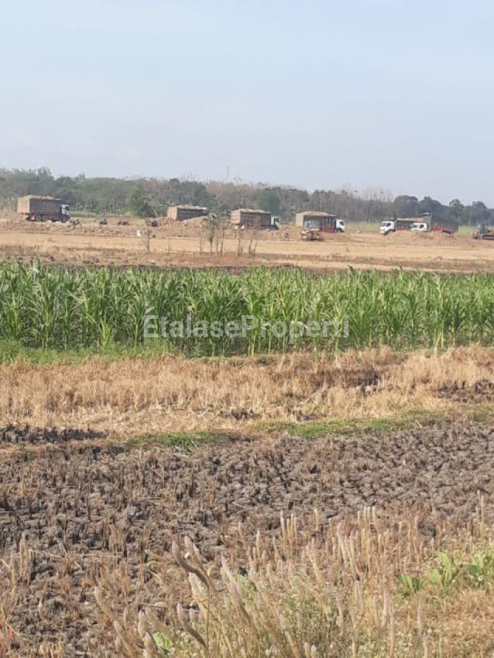 Foto properti Di Jual Lahan Pergudangan Dan Industri, Wringin Anom Gresik 2