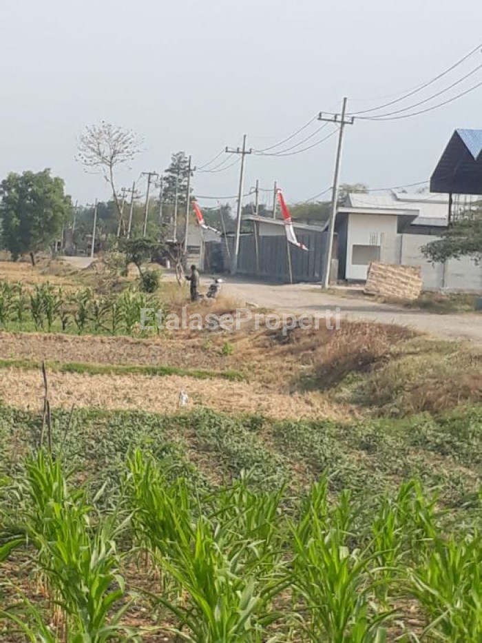Foto properti Di Jual Lahan Pergudangan Dan Industri, Wringin Anom Gresik 4
