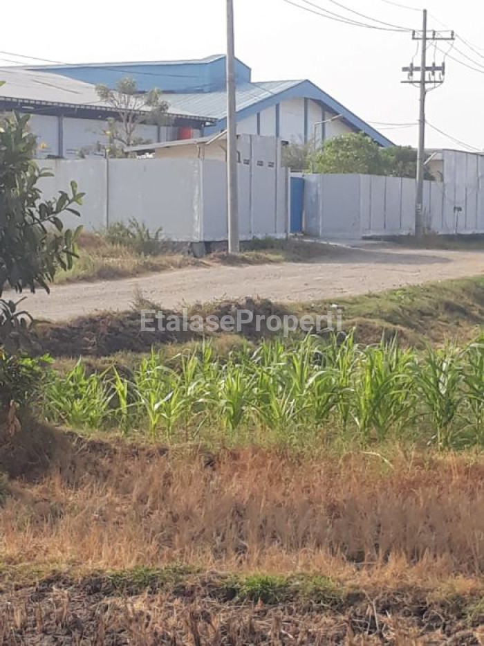 Foto properti Di Jual Lahan Pergudangan Dan Industri, Wringin Anom Gresik 7