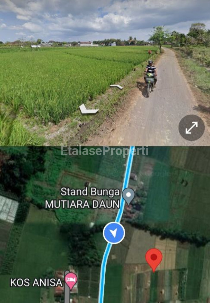 Foto properti Dijual Murah Tanah SHM Di Kembiritan Genteng Banyuwangi Peruntukan Perumahan Ijin Lengkap 1