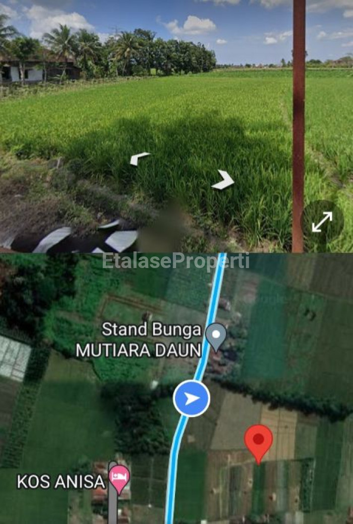 Foto properti Dijual Murah Tanah SHM Di Kembiritan Genteng Banyuwangi Peruntukan Perumahan Ijin Lengkap 2