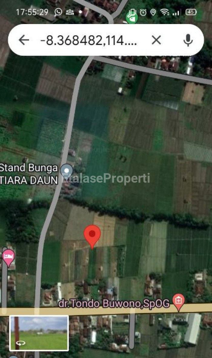 Foto properti Dijual Murah Tanah SHM Di Kembiritan Genteng Banyuwangi Peruntukan Perumahan Ijin Lengkap 3