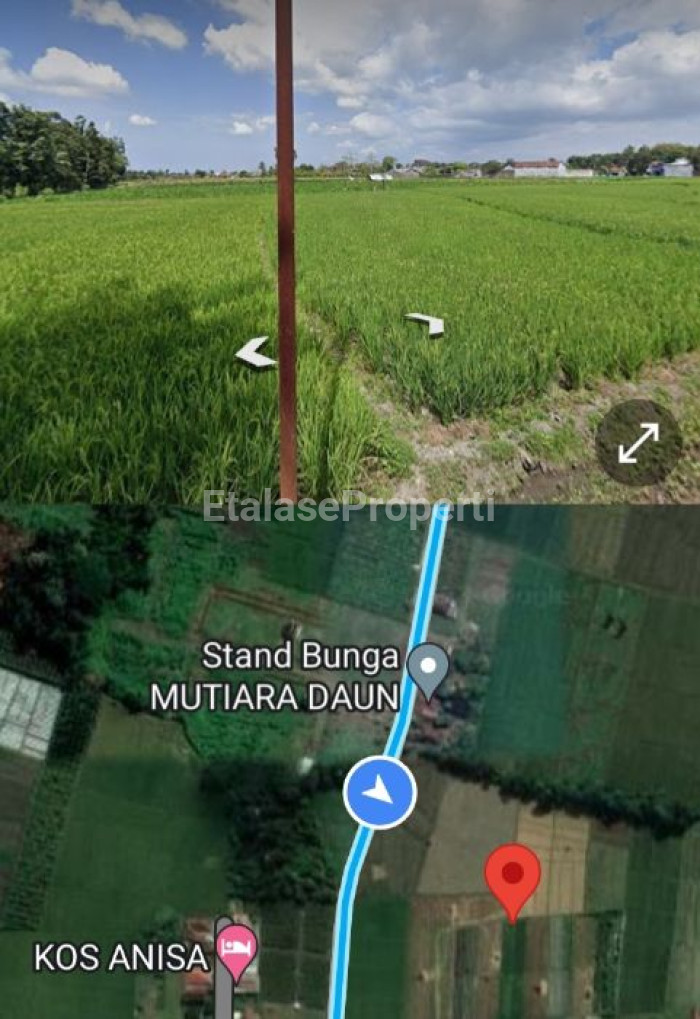 Foto properti Dijual Murah Tanah SHM Di Kembiritan Genteng Banyuwangi Peruntukan Perumahan Ijin Lengkap 4