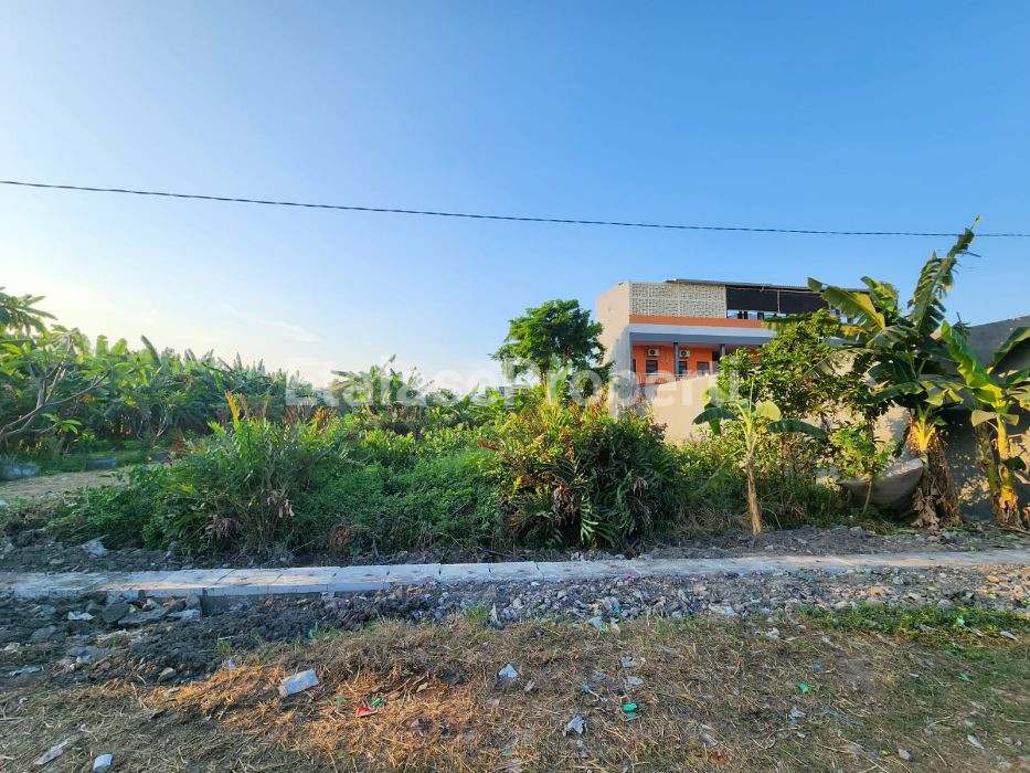 Foto properti DIJUAL CEPAT TANAH SIWALANKERTO TIMUR SURABAYA 2