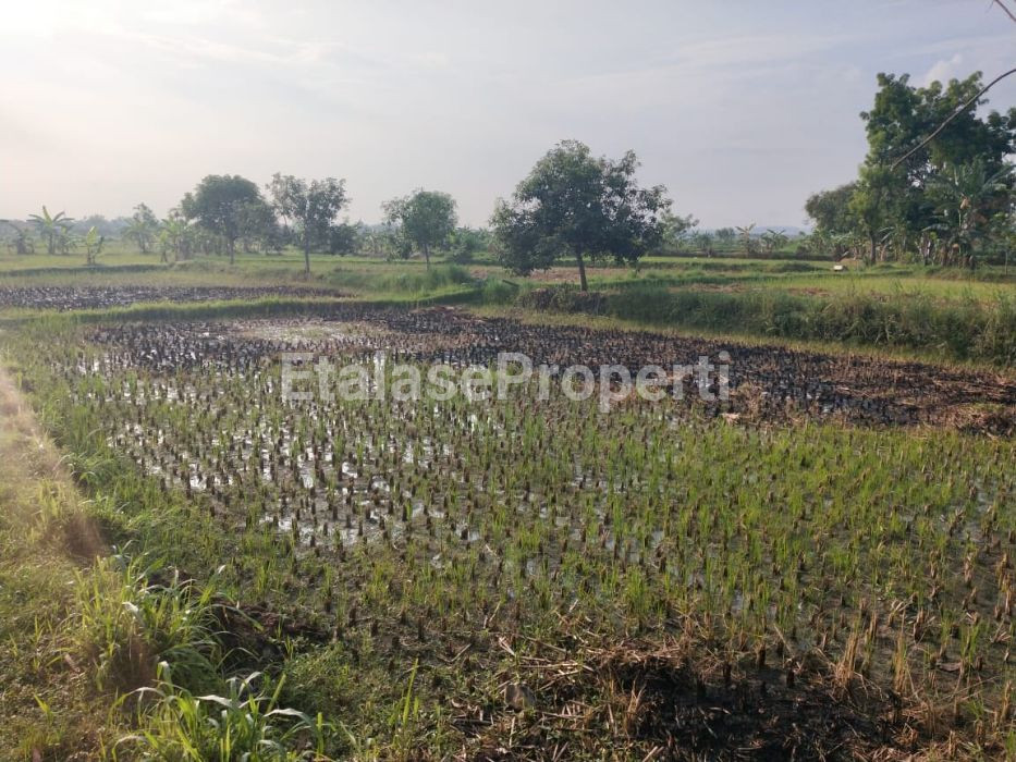 Foto properti Tanah Yang Dapat Dibangun Gudang 1