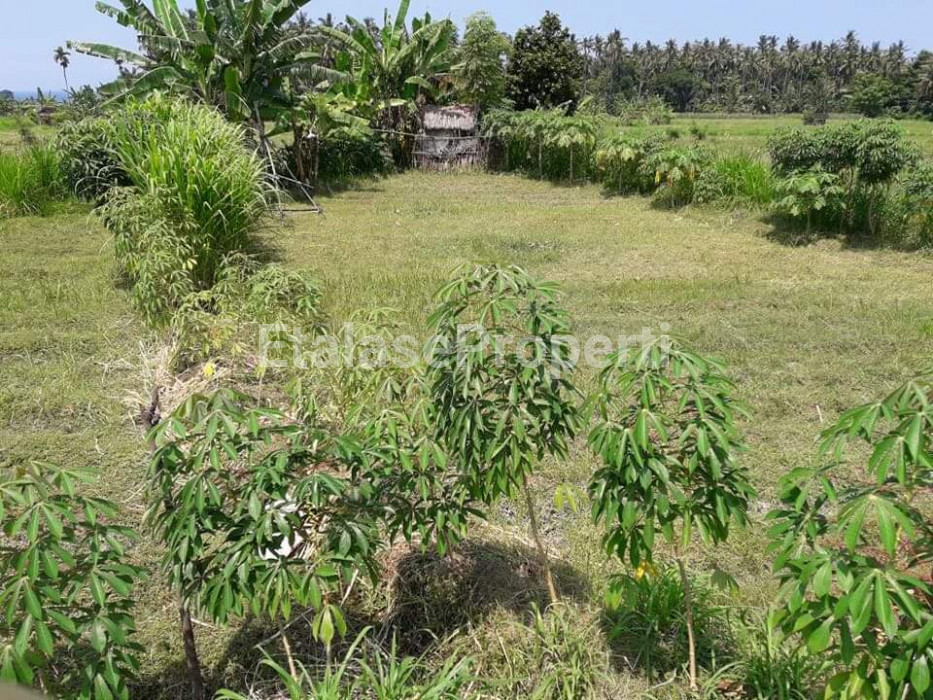 Foto properti Tanah Pinggir Jalan Raya Dekat Dengan Tempat Wisata Cocok Untuk Usaha 1