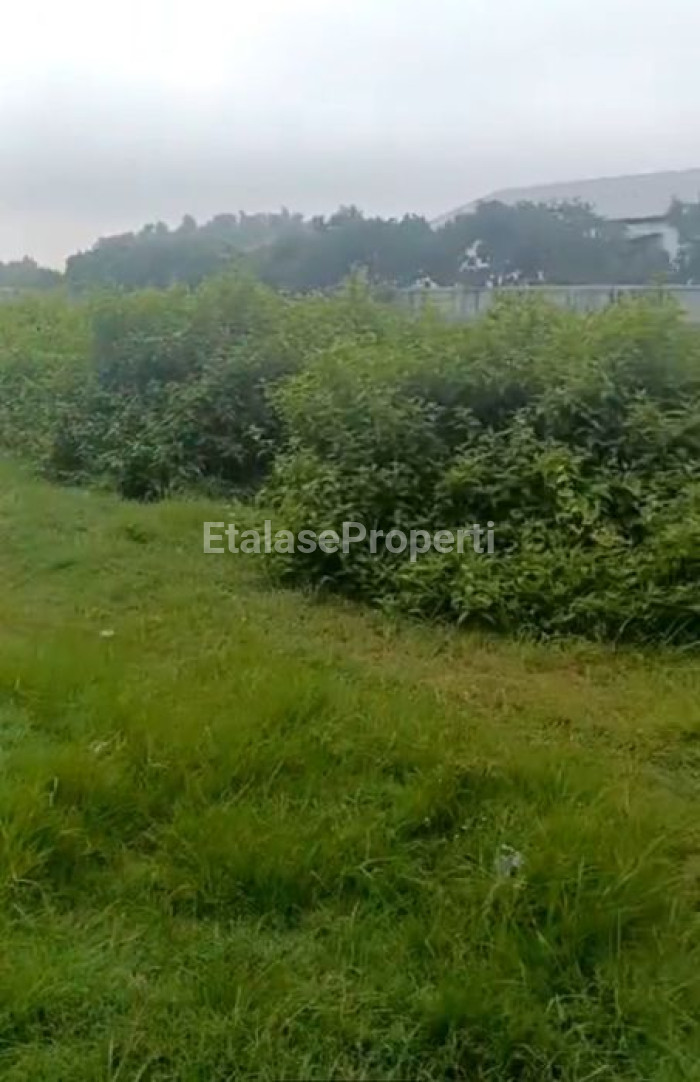 Foto properti JUAL  LAHAN/TANAH DI RING ROAD , MADIUN, JAWA TIMUR. 3
