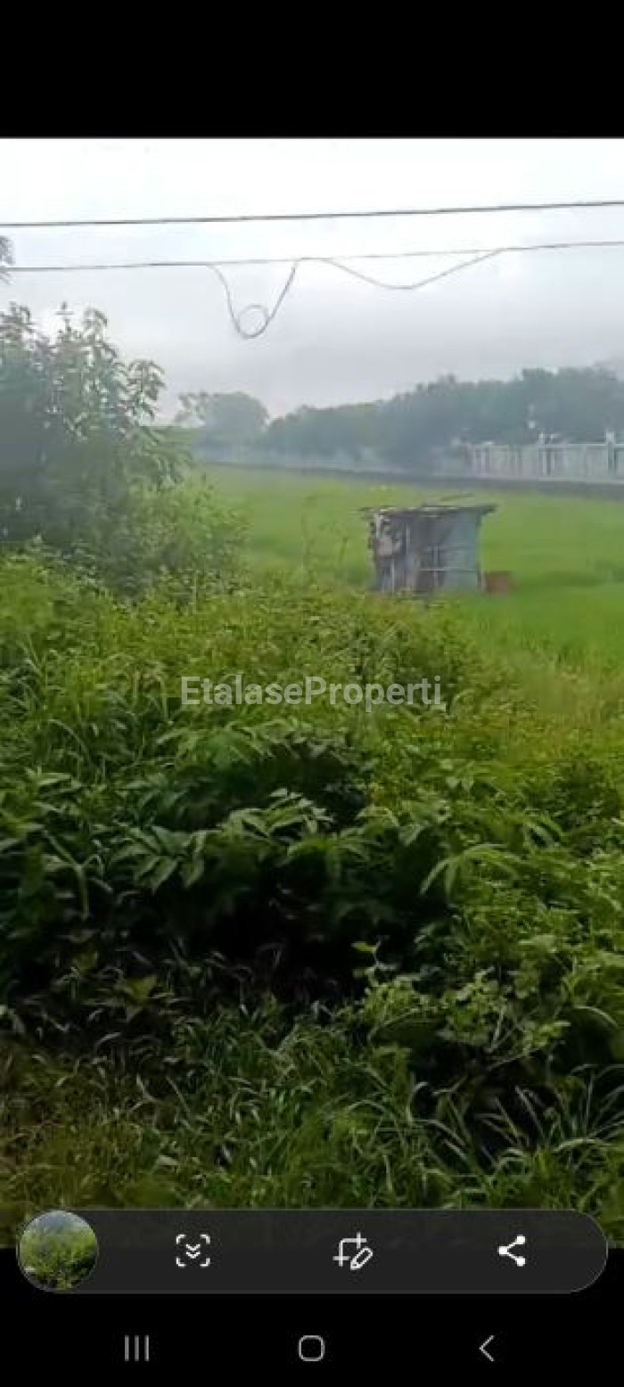 Foto properti JUAL  LAHAN/TANAH DI RING ROAD , MADIUN, JAWA TIMUR. 4