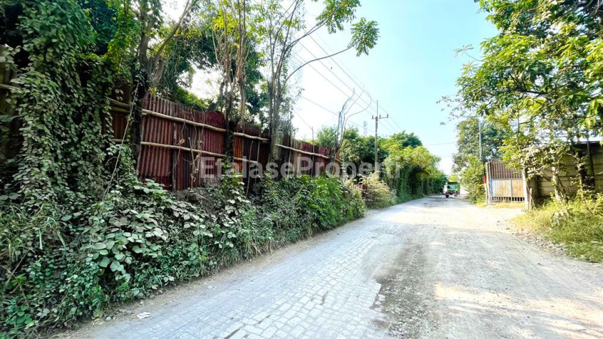 Foto properti *Dijual Tanah Ngoro (Mojokerto) Daerah Manduro* 4