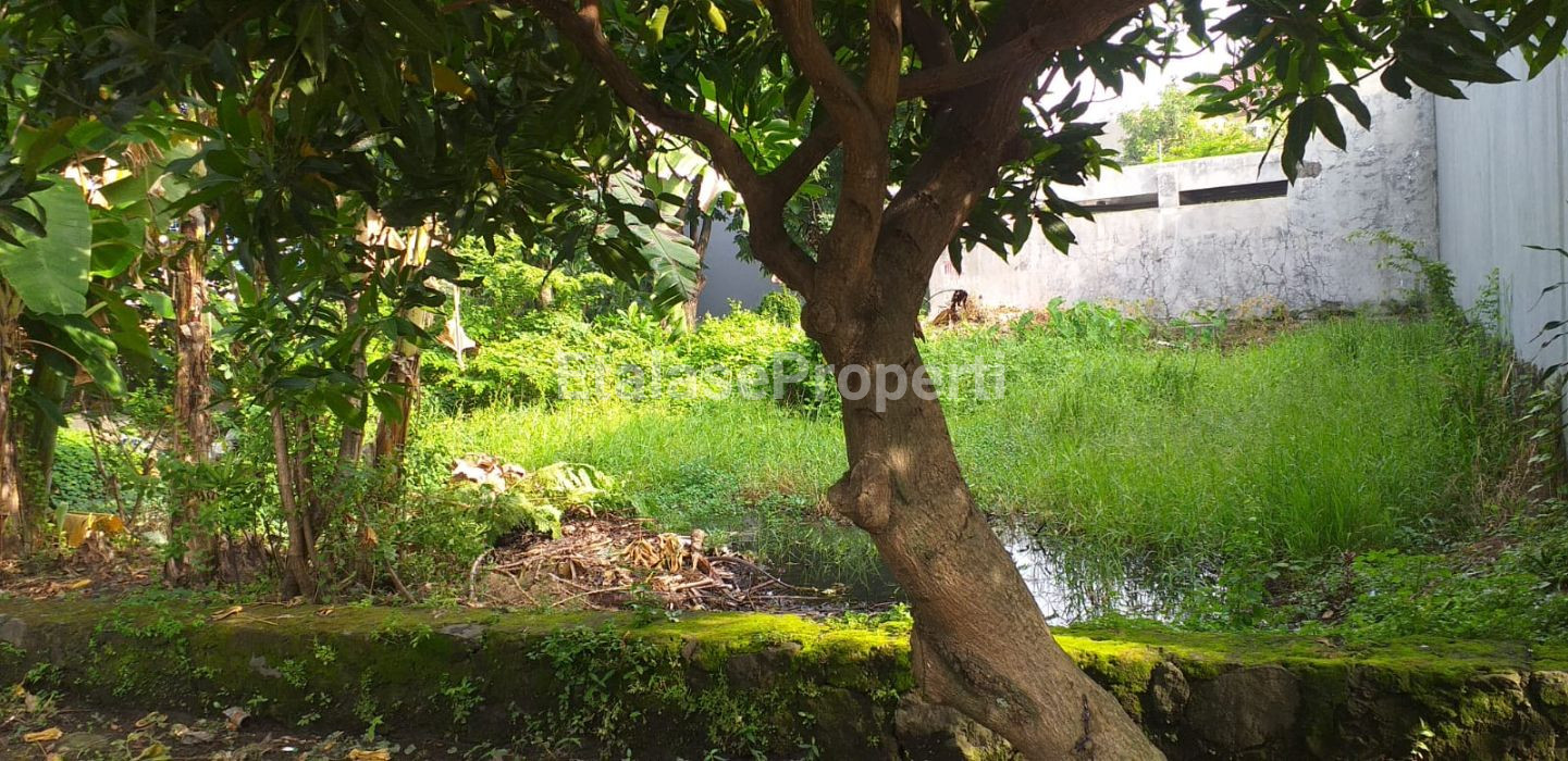 Foto properti Tanah Hook Pagesangan Surabaya 3