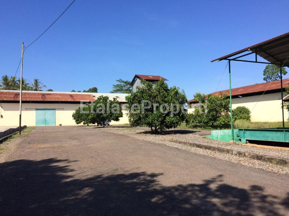 Foto properti Dijual Tanah Di Lampung Selatan 1