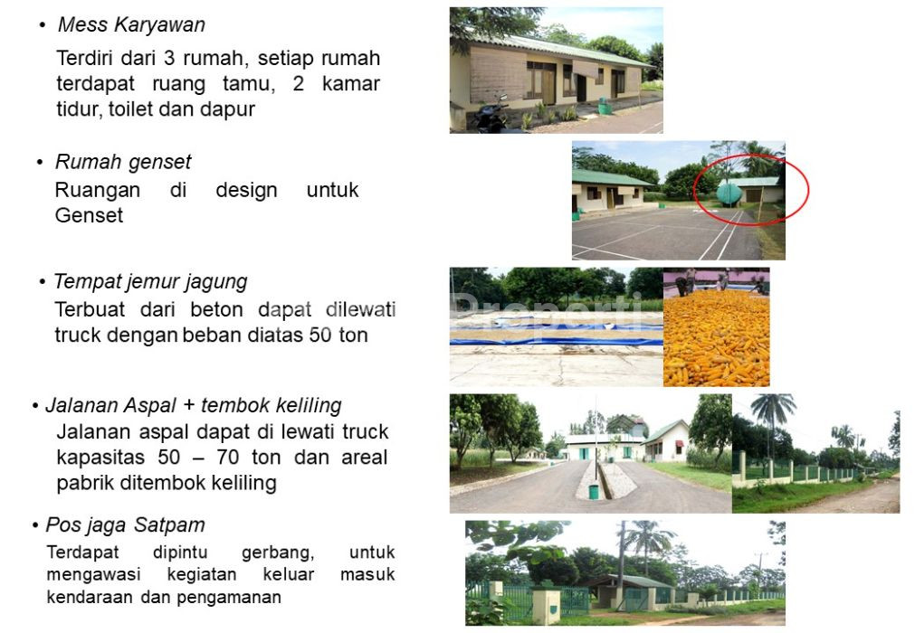 Foto properti Dijual Tanah Di Lampung Selatan 8