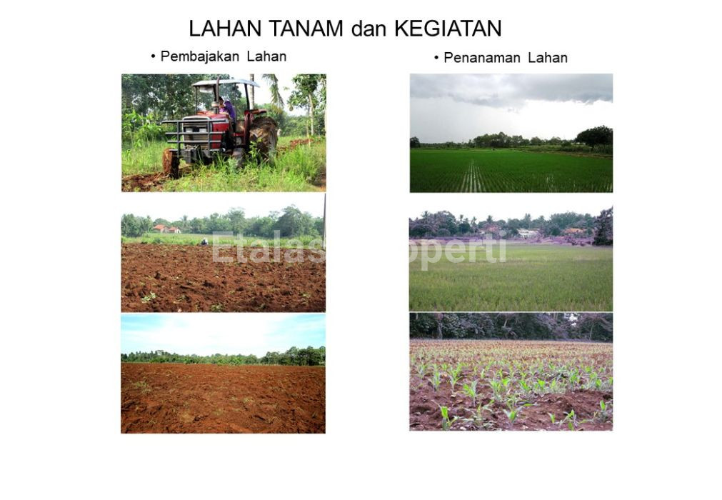 Foto properti Dijual Tanah Di Lampung Selatan 9