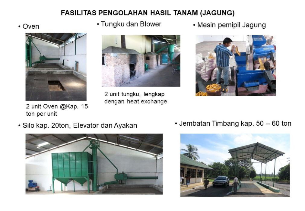 Foto properti Dijual Tanah Di Lampung Selatan 10