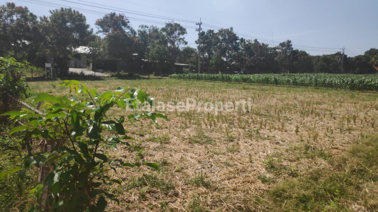 Foto properti Jual Tanah Di Jalan Raya Propinsi, Panarukan, Situbondo 1