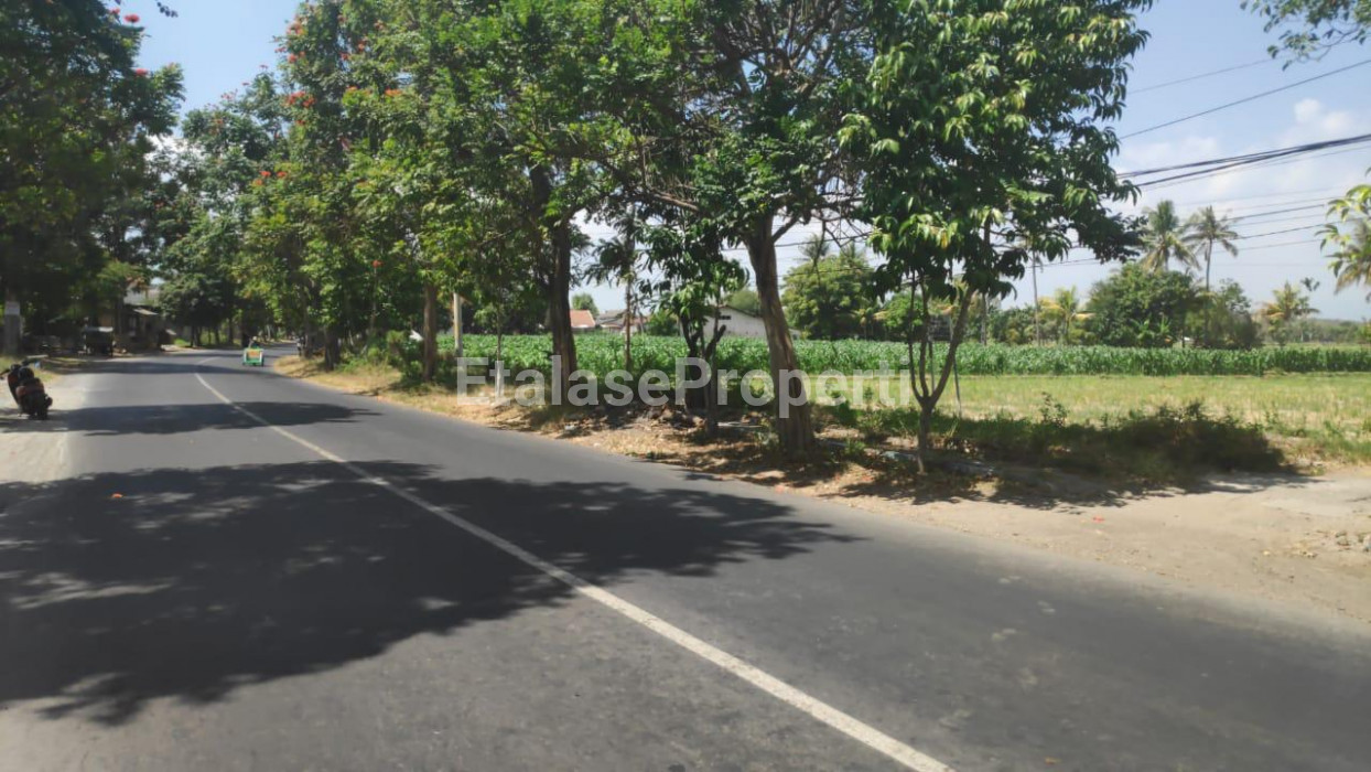 Foto properti Jual Tanah Di Jalan Raya Propinsi, Panarukan, Situbondo 2