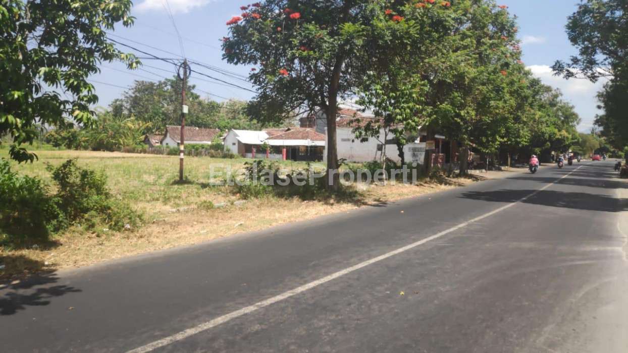 Foto properti Jual Tanah Di Jalan Raya Propinsi, Panarukan, Situbondo 3