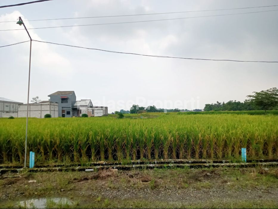 Foto properti Tanah Domas Menganti Lebih Tinggi Di Sekitarnya 9