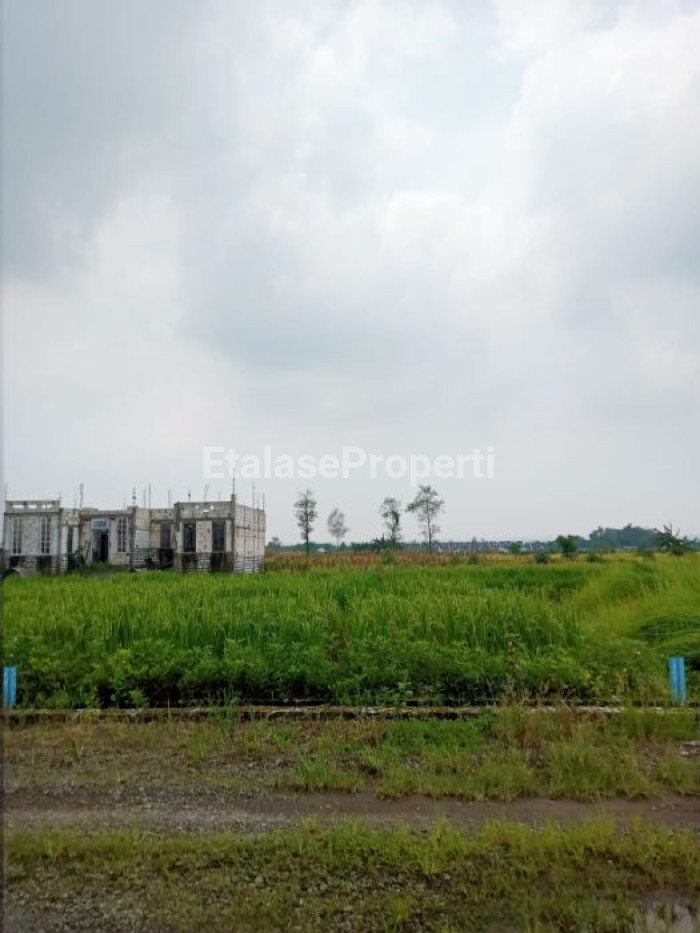Foto properti Tanah Domas Menganti Lebih Tinggi Di Sekitarnya 2