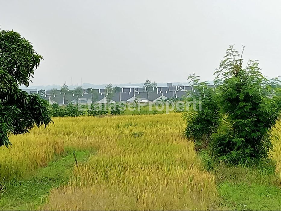 Foto properti Tanah Domas Menganti Lebih Tinggi Di Sekitarnya 3