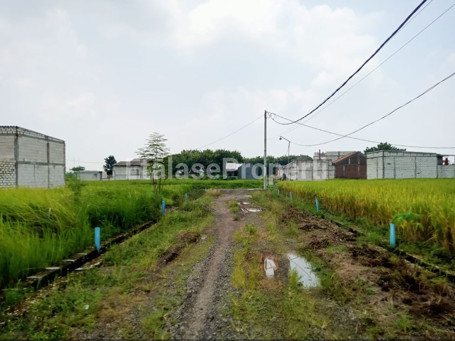 Foto properti Tanah Domas Menganti Lebih Tinggi Di Sekitarnya 4
