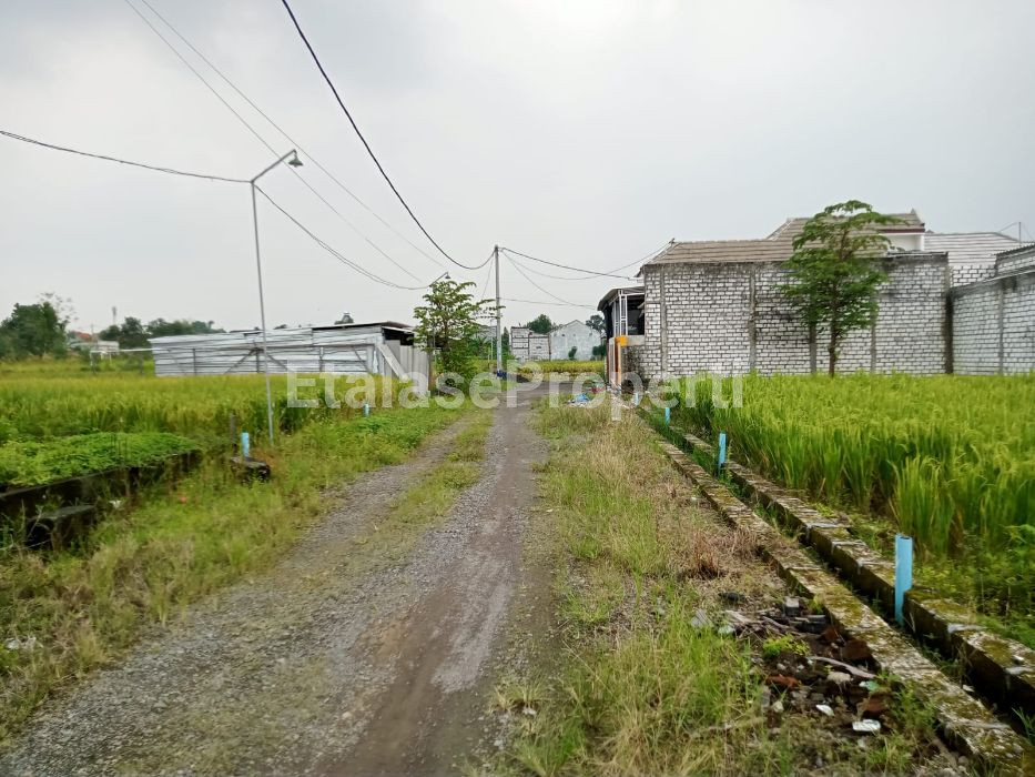 Foto properti Tanah Domas Menganti Lebih Tinggi Di Sekitarnya 5