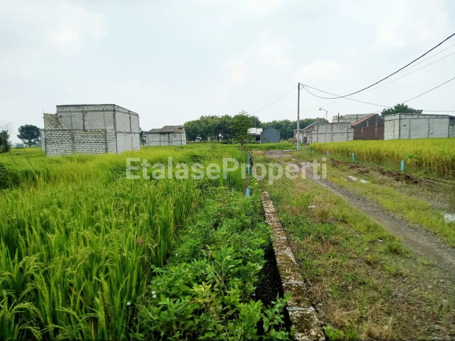 Foto properti Tanah Domas Menganti Lebih Tinggi Di Sekitarnya 8