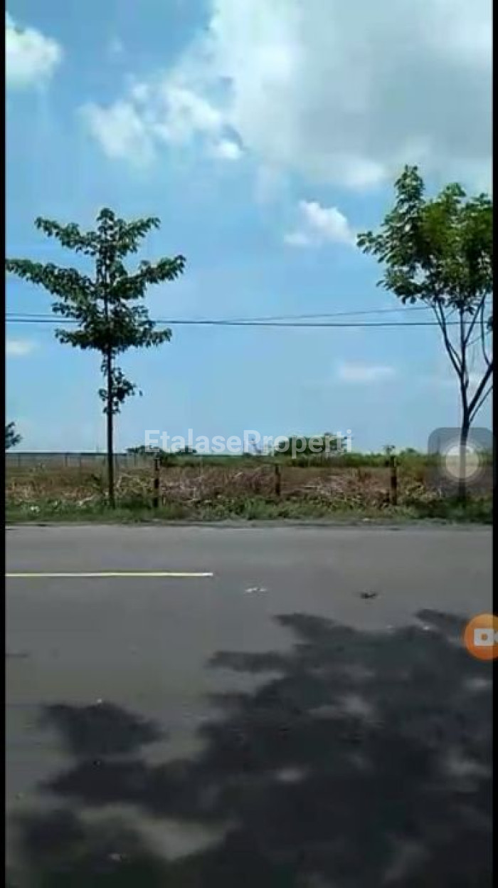 Foto properti Tanah Industri Di Tuban 1